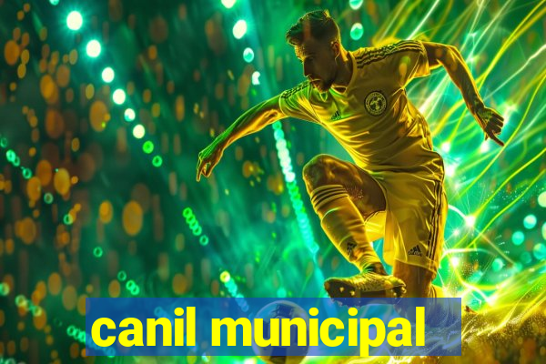 canil municipal